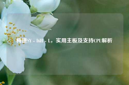 梅捷SY - I6H - L,实用主板及支持CPU解析