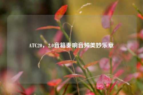 ATC20，2.0音箱奏响音频美妙乐章