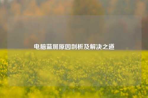 电脑蓝屏原因剖析及解决之道