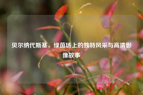 贝尔纳代斯基,绿茵场上的独特风采与高清影像故事
