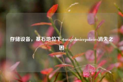 存储设备,基石地位下storagedevicepolicies消失之困