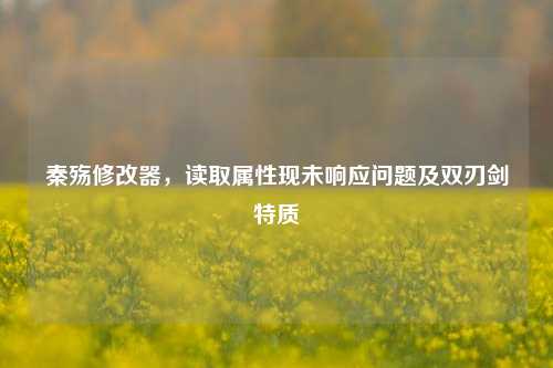 秦殇修改器,读取属性现未响应问题及双刃剑特质