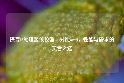探寻i5处理器佼佼者,对比amd,性能与需求的契合之选