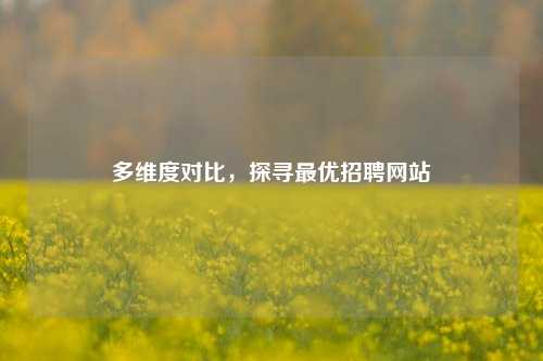 多维度对比，探寻最优招聘网站