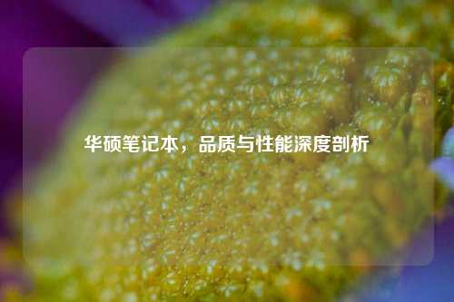 华硕笔记本，品质与性能深度剖析