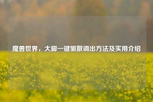 魔兽世界,大脚一键驱散调出方法及实用介绍