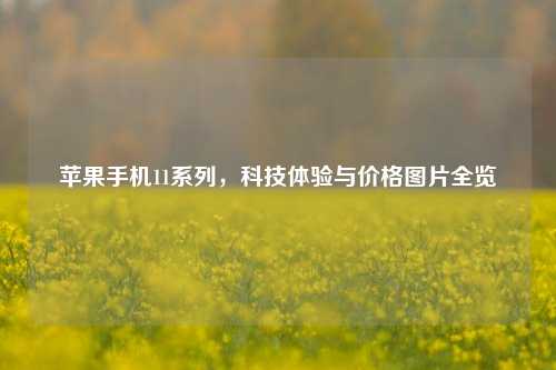 苹果手机11系列,科技体验与价格图片全览