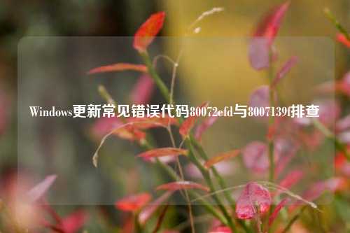 Windows更新常见错误代码80072efd与8007139f排查