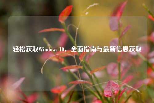 轻松获取Windows 10，全面指南与最新信息获取