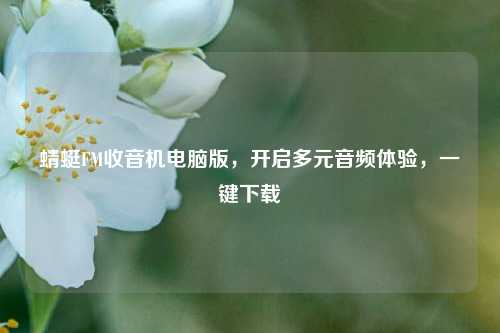 蜻蜓FM收音机电脑版,开启多元音频体验,一键下载