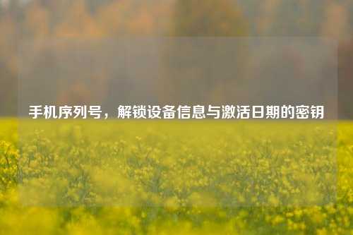 手机序列号,解锁设备信息与激活日期的密钥