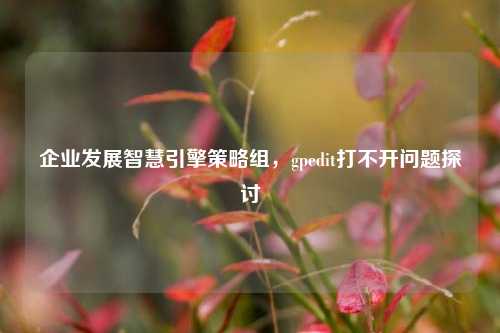 企业发展智慧引擎策略组,gpedit打不开问题探讨