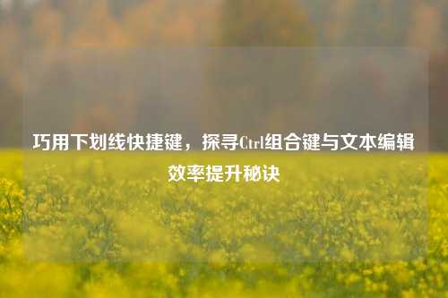 巧用下划线快捷键,探寻Ctrl组合键与文本编辑效率提升秘诀