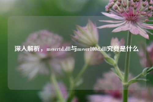 深入解析,msvcrtd.dll与msvcr100d.dll究竟是什么