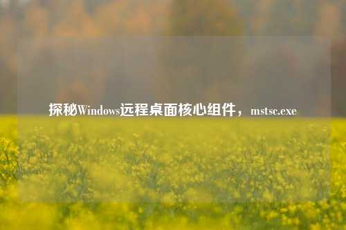 探秘Windows远程桌面核心组件,mstsc.exe