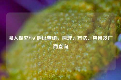 深入探究MAC地址查询，原理、方法、应用及厂商查询