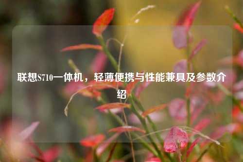 联想S710一体机,轻薄便携与性能兼具及参数介绍