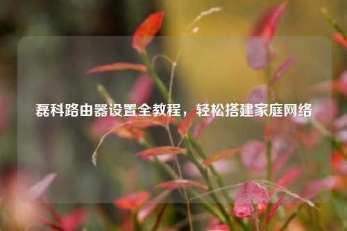 磊科路由器设置全教程，轻松搭建家庭网络