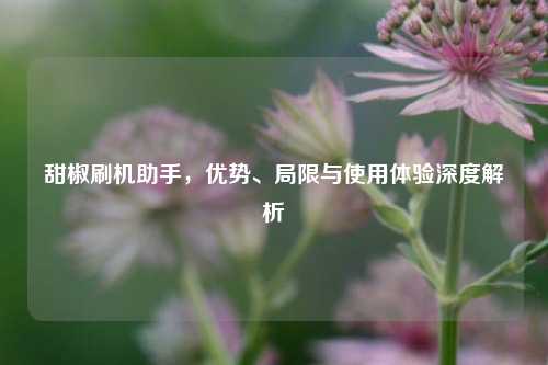 甜椒刷机助手,优势、局限与使用体验深度解析
