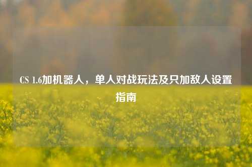 CS 1.6加机器人，单人对战玩法及只加敌人设置指南