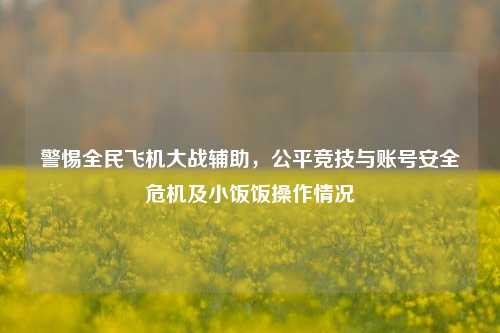 警惕全民飞机大战辅助,公平竞技与账号安全危机及小饭饭操作情况