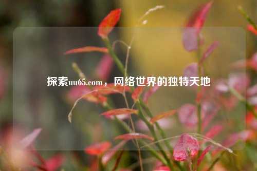 探索uu65.com,网络世界的独特天地