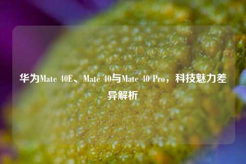华为Mate 40E、Mate 40与Mate 40 Pro,科技魅力差异解析