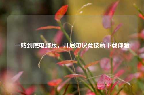 一站到底电脑版，开启知识竞技新下载体验