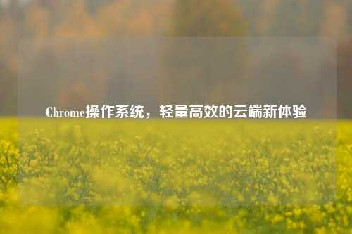 Chrome操作系统,轻量高效的云端新体验