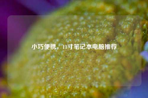 小巧便携，11寸笔记本电脑推荐