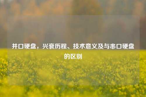 并口硬盘,兴衰历程、技术意义及与串口硬盘的区别