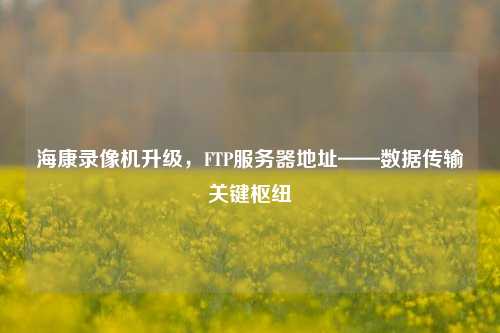 海康录像机升级,FTP服务器地址——数据传输关键枢纽