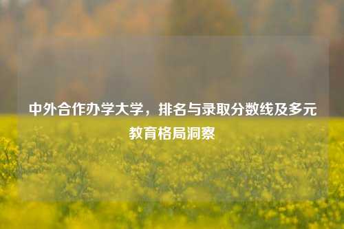 中外合作办学大学,排名与录取分数线及多元教育格局洞察