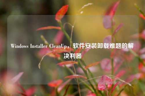 Windows Installer CleanUp,软件安装卸载难题的解决利器