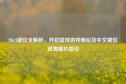 2K13键位全解析，开启篮球游戏畅玩及中文键位设置图片指引