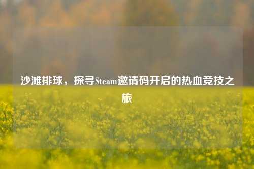沙滩排球,探寻Steam邀请码开启的热血竞技之旅