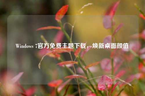 Windows 7官方免费主题下载，焕新桌面颜值