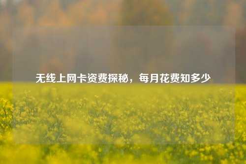 无线上网卡资费探秘,每月花费知多少