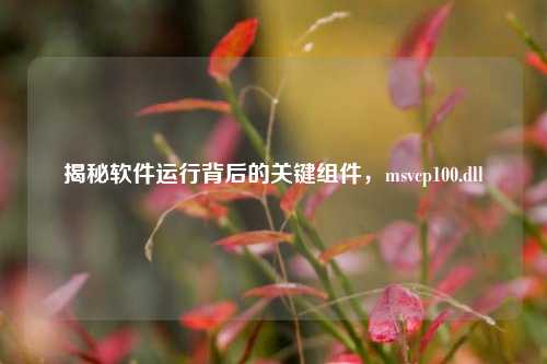 揭秘软件运行背后的关键组件，msvcp100.dll