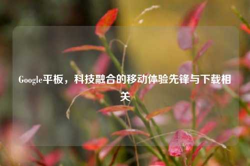 Google平板，科技融合的移动体验先锋与下载相关