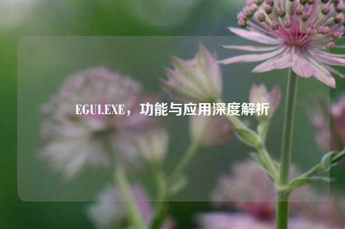 EGUI.EXE,功能与应用深度解析
