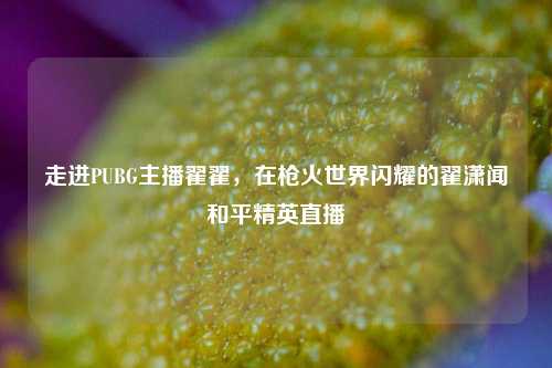 走进PUBG主播翟翟，在枪火世界闪耀的翟潇闻和平精英直播