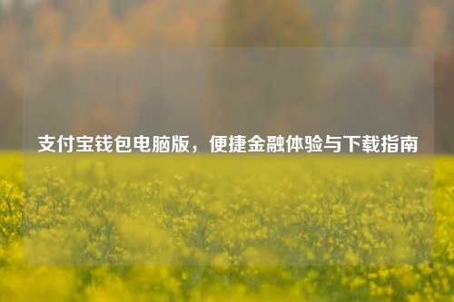 支付宝钱包电脑版，便捷金融体验与下载指南