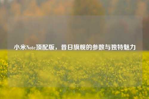 小米Note顶配版，昔日旗舰的参数与独特魅力