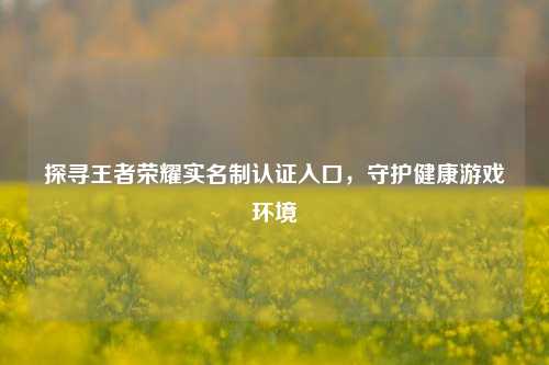 探寻王者荣耀实名制认证入口,守护健康游戏环境