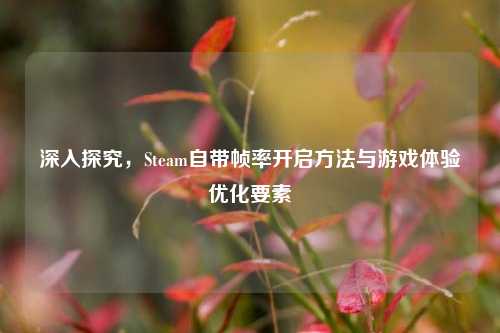 深入探究,Steam自带帧率开启方法与游戏体验优化要素