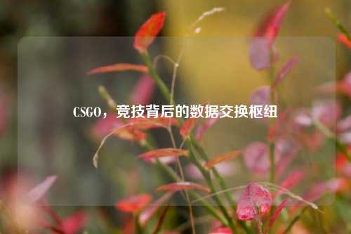 CSGO，竞技背后的数据交换枢纽