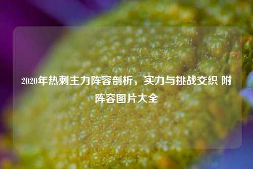 2020年热刺主力阵容剖析，实力与挑战交织 附阵容图片大全