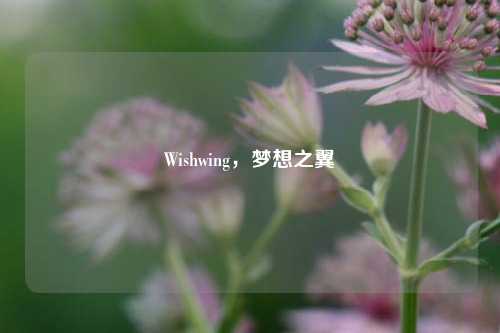 Wishwing,梦想之翼