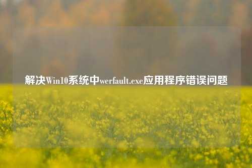 解决Win10系统中werfault.exe应用程序错误问题
